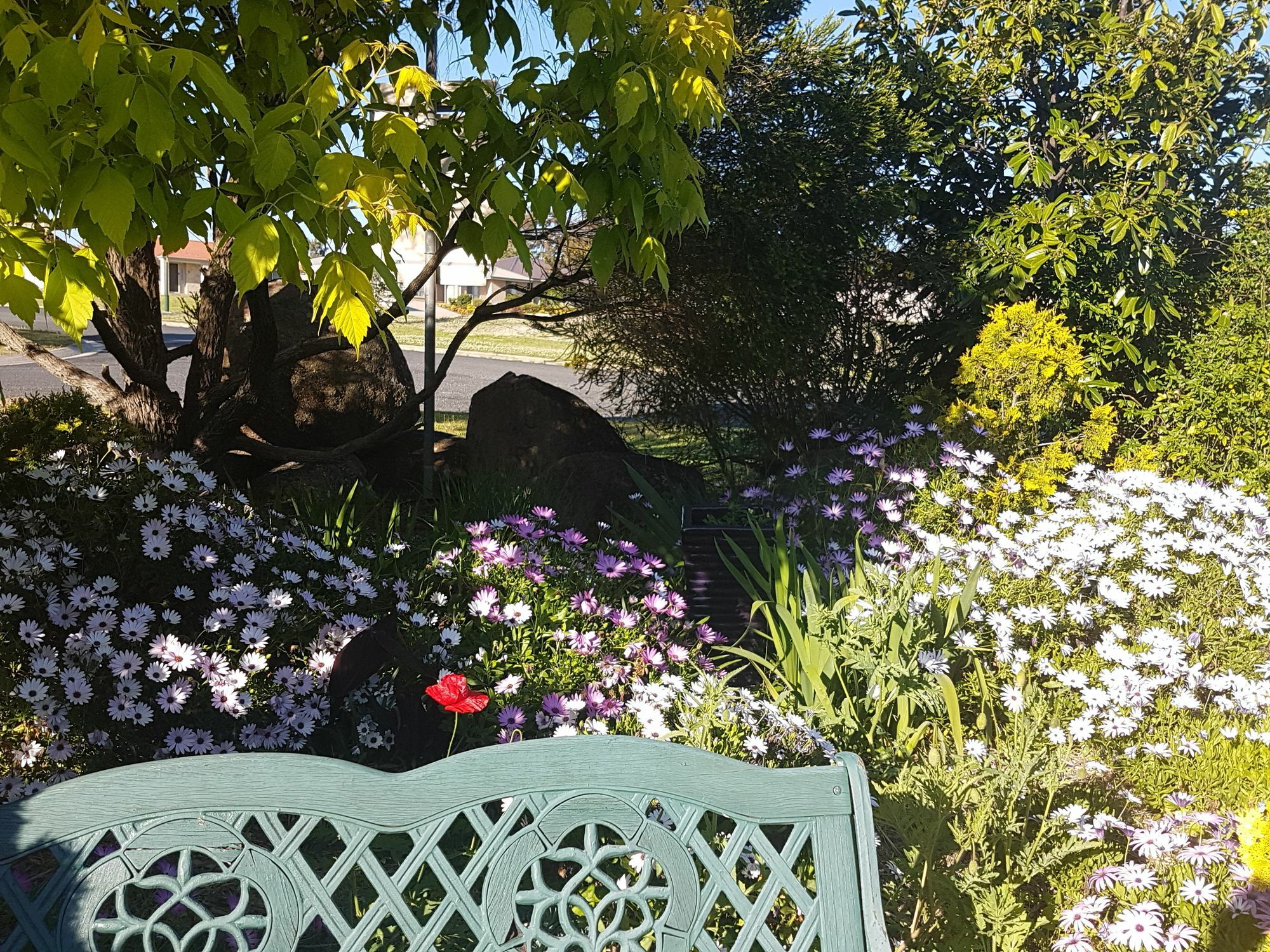 Bed and Breakfast Grovely House Stanthorpe Exterior foto