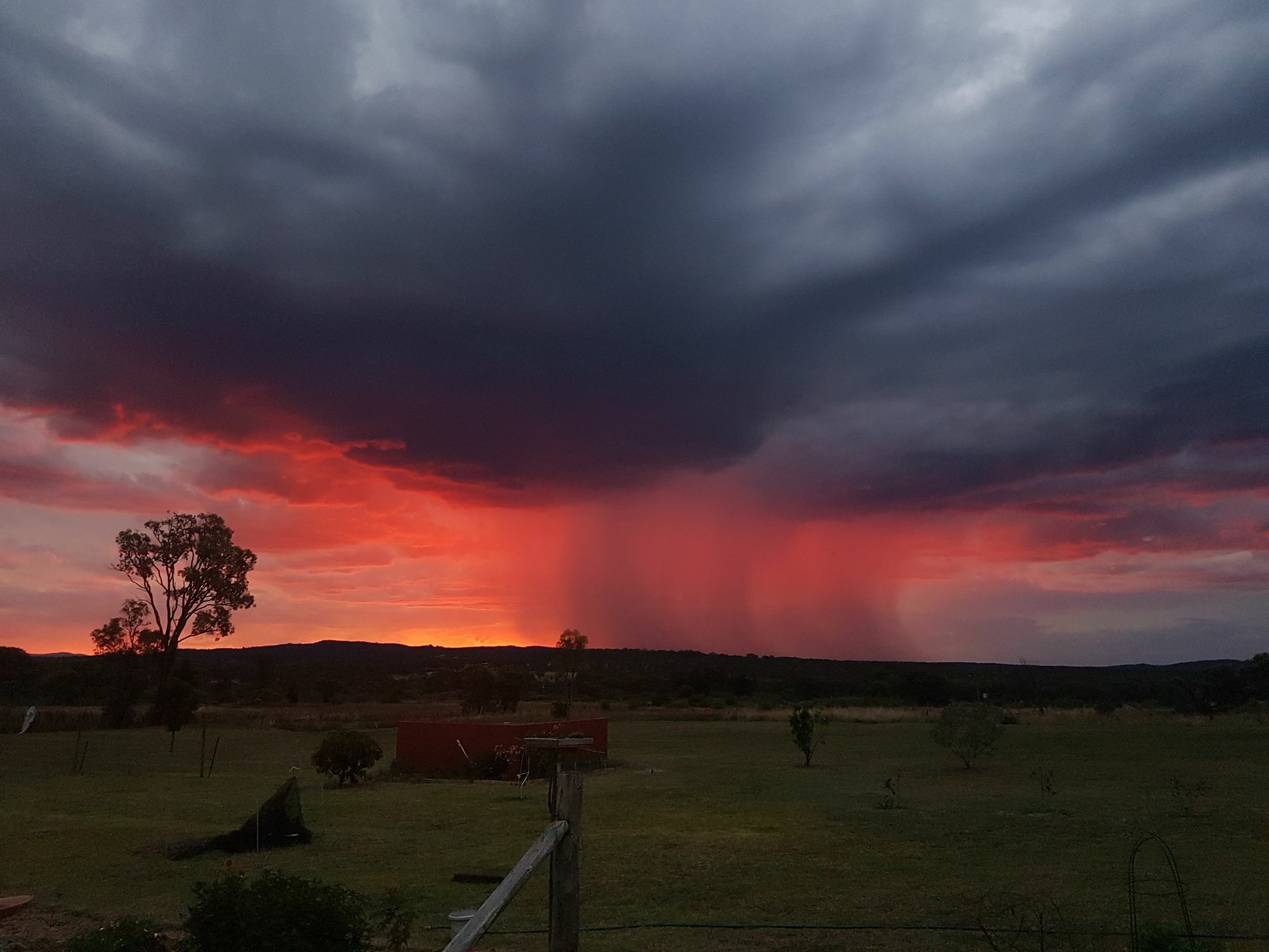 Bed and Breakfast Grovely House Stanthorpe Exterior foto