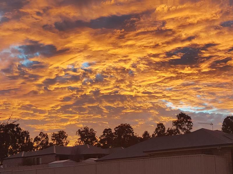 Bed and Breakfast Grovely House Stanthorpe Exterior foto